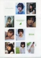 Keyakizaka46 B5 plastic trasparent file folder "Weekly Playboy January and February 2019 Merger Issue" LAWSON special