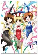 Collecting Bunny A4 Clear A4 Clear File 「 Magical Girl Lyrical NANOHA Detachment 」