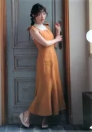 Kaori Ishihara A4 plastic trasparent file folder "CD TEMPEST" Animate Purchase benefits