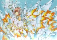 Kinomoto-zakura A4 plastic trasparent file folder "Cardcaptor Sakura Clear Card" Nakayoshi 65th anniversary commemorative original picture exhibition goods