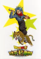 四角褲&捷豹A4文件夾