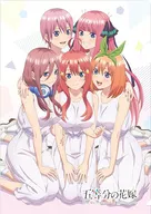 B. Set A4 Single Clear File "The Bride of Five"