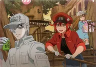 A. Collection A4 Single Clear File 「 Cells at Work! 」