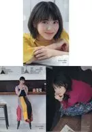 浜辺美波 A5クリアファイル3枚セット パターンA 「フォトエッセイ 気ままに美波」 Amazon.co.jp限定版特典