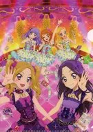 Aikatsu!! (Fourth Phase Key Visual) 「 Jumbo Card Das All Aikatsu!! mini Clear File Collection 」