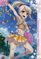 "Fate/kaleid liner Prisma illya Dry! Ilya ☆ Alarm Web KUJI" E-2 Prize for an A4 plastic trasparent file folder by Ilyasfeel von Einthern (Cheerleader)