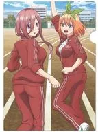 I. Miku Nakano & Nakano Shiyo (Jersey) A4 clear file "The Quintessential Quintuplets"