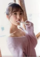 丰田萌绘A4文件夹Animate购入特典
