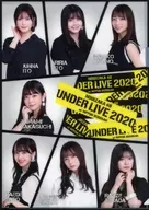 Nogizaka46 A4 plastic trasparent file folder "Nogizaka46 Under Live 2020"