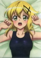 曉切歌A4透明文件夾「戰姬絕唱SYMPHOGEAR G」趣味存貨限定