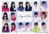 Nogizaka46 Original Clear File (Picture A) "Blu-ray BOX ノギザカスキッツ Volume 1" First Order Purchase Privilege