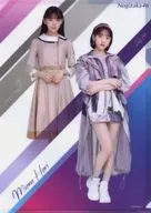 Miona Hori, A4 plastic trasparent file folder WEB SHOP 2020 Great Appreciation Campaign Goods Purchase benefits Nogizaka46