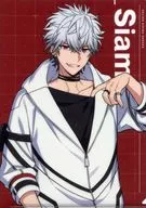 Chamus "Elios Rising Heroes A4 Clear File Collection B"