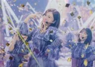 乃木坂46 A5尺寸清晰文件(HMV圖案)"Blu-ray/NOGIZAKA46 Mai Shiraisi Graduation Concert～Always beside you～"HMV先到購入特典
