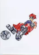 Natick Normal Edition, 5 Scrolls, Cover Illustration, A4 Clear File "HOSHIN ENGI"