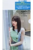 小林由依/森田光(欅坂46)B5 ClearFile Flash Special Gravure BEST2019年盛夏号罗森限定特别赠品