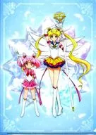エターナルセーラームーン＆エターナルセーラーちびムーン キャラクターA4クリアファイル 「Blu-ray/DVD 劇場版 美少女戦士セーラームーンEternal」 KING e-SHOP購入特典