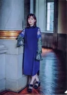 Ikuta Erika A4 plastic trasparent file folder (Key Visual) "Restaurant Shunkashuto / Four Seasons Hotel Nogizaka46"