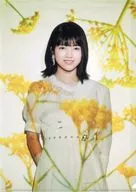 Runa Hayashi, A4 plastic trasparent file folder "Restaurant Shunkashuto / Four Seasons Hotel Nogizaka46"