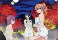 集合 クリアファイル 「コミックス 食戟のソーマ 第24巻 DVD同梱版」 アニメイト予約特典