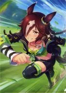 Vodka (Carga de Vodka) A4 Clear File vol. 2 "Umamusume Pretty Derby"