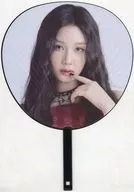 パリタ ジャンボうちわ 「2025 BABYMONSTER 1st WORLD TOUR ＜HELLO MONSTERS＞ IN JAPAN」