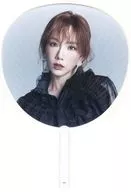 テヨン(少女時代) うちわ 「TAEYEON JAPAN TOUR 2020(仮)」