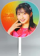 森朱里 うちわ 「Lucky2 LIVE TOUR 2023 “Happy Summer”」