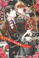 CAN'T END IN A NIGHT'S DREAM?