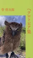ヘテロトピア集 / 管啓次郎