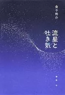 Meteors and Nausea / rei Kaneko