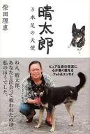 晴太郎3只脚的天使