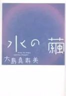 水の繭 / 大島真寿美