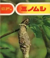蓑虫