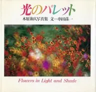 Light Palette Kazuto Kihara Photo Book