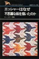 Why did Escher draw the mysterious picture?