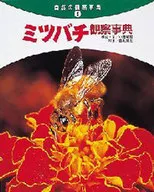 蜜蜂觀察辭典
