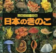 日本的蘑菇山溪颜色名鉴