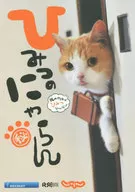 Himitsu no Nyalan
