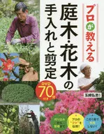 Maintenance and pruning of garden trees and flowering trees taught by professionals