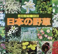 山溪彩色名鑒日本野草