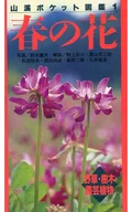Spring flower