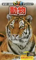 动物