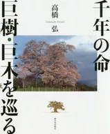 A Thousand Years of Life : A Tour of Giant Trees