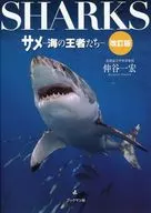 The Shark Sea Champions Revision