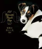 O cão mais bonito do mundo 101