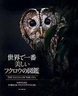 The most beautiful owl in the world
