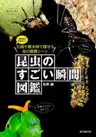 昆虫のすごい瞬間図鑑 一度は見ておきたい!公園や雑木林で探せる命の躍動シーン