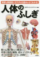 The human body