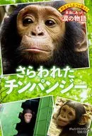 Save Wild Animals! The Story of Real Tears : The Kidnapped Chimpanzee / Jess French